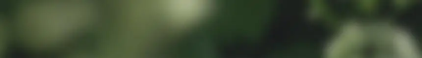 [청담샵 Pick] 티타드 레몬밤 뿌리 볼륨 샴푸 700ml 기획 (+리필 400ml 증정) 상세페이지 24
